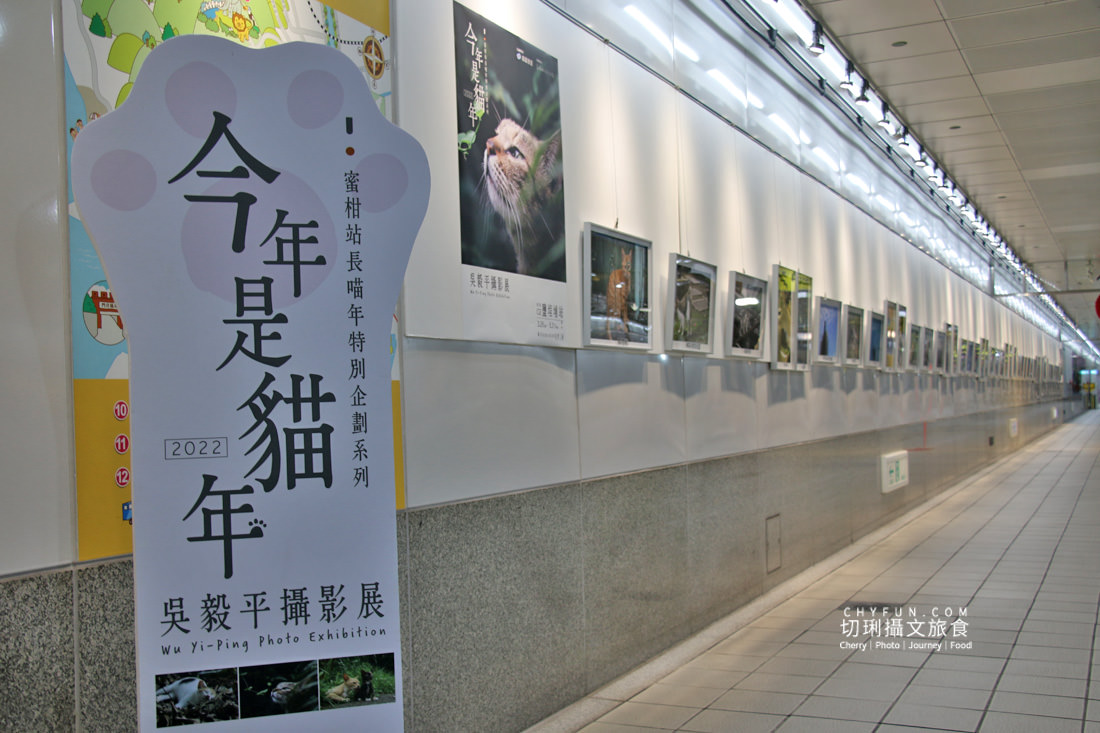 高雄｜高雄捷運鹽埕埔站展出吳毅平喵星人日常，慶蜜柑站長兩歲見面會