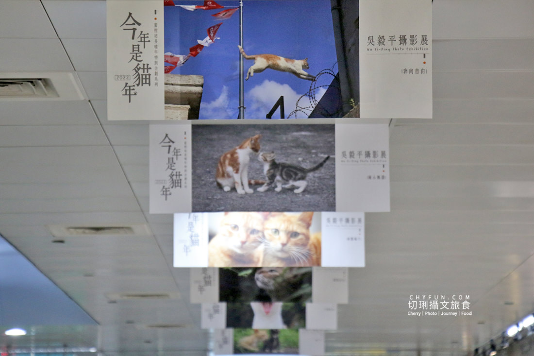 高雄｜高雄捷運鹽埕埔站展出吳毅平喵星人日常，慶蜜柑站長兩歲見面會