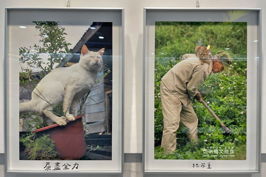 高雄｜高雄捷運鹽埕埔站展出吳毅平喵星人日常，慶蜜柑站長兩歲見面會
