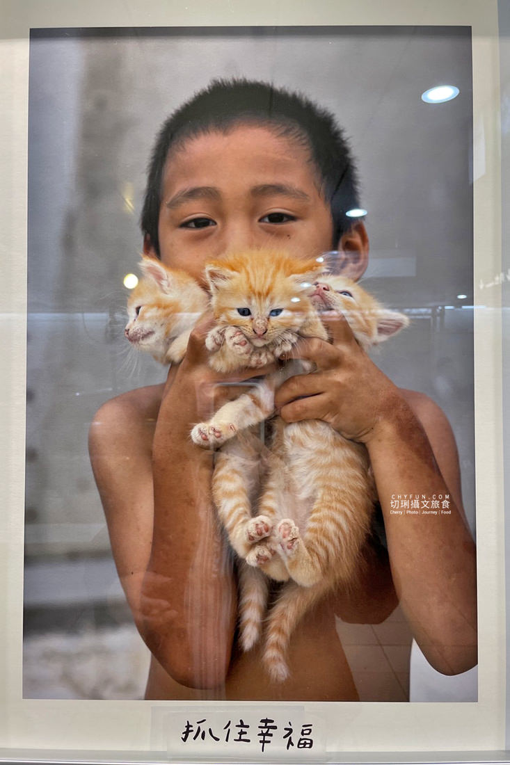 高雄｜高雄捷運鹽埕埔站展出吳毅平喵星人日常，慶蜜柑站長兩歲見面會