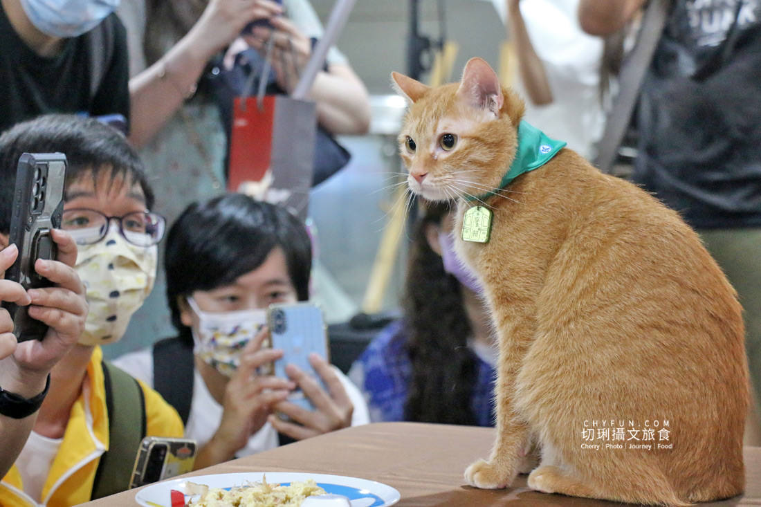 高雄｜高雄捷運鹽埕埔站展出吳毅平喵星人日常，慶蜜柑站長兩歲見面會