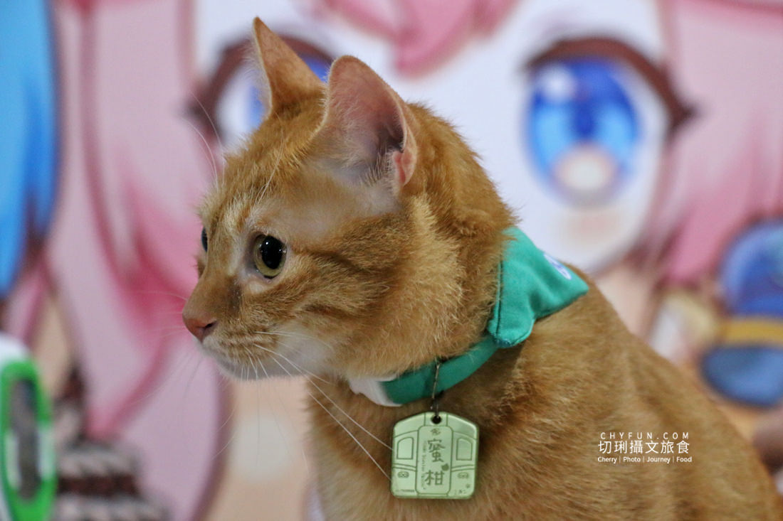 高雄｜高雄捷運鹽埕埔站展出吳毅平喵星人日常，慶蜜柑站長兩歲見面會