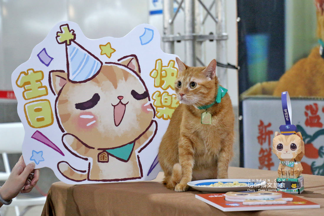 高雄｜高雄捷運鹽埕埔站展出吳毅平喵星人日常，慶蜜柑站長兩歲見面會