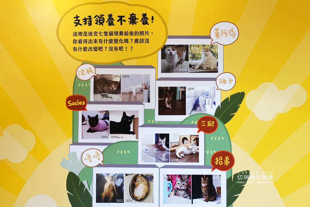 高雄｜黃阿瑪相遇十週年期間店鋪，高雄時代百貨巨大坐鎮萌翻啦