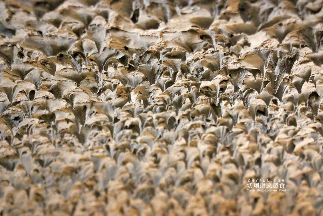 澎湖｜龍門閉鎖陣地日治時期建物軍事迷要逛，坑道內感受昔日戰地風情