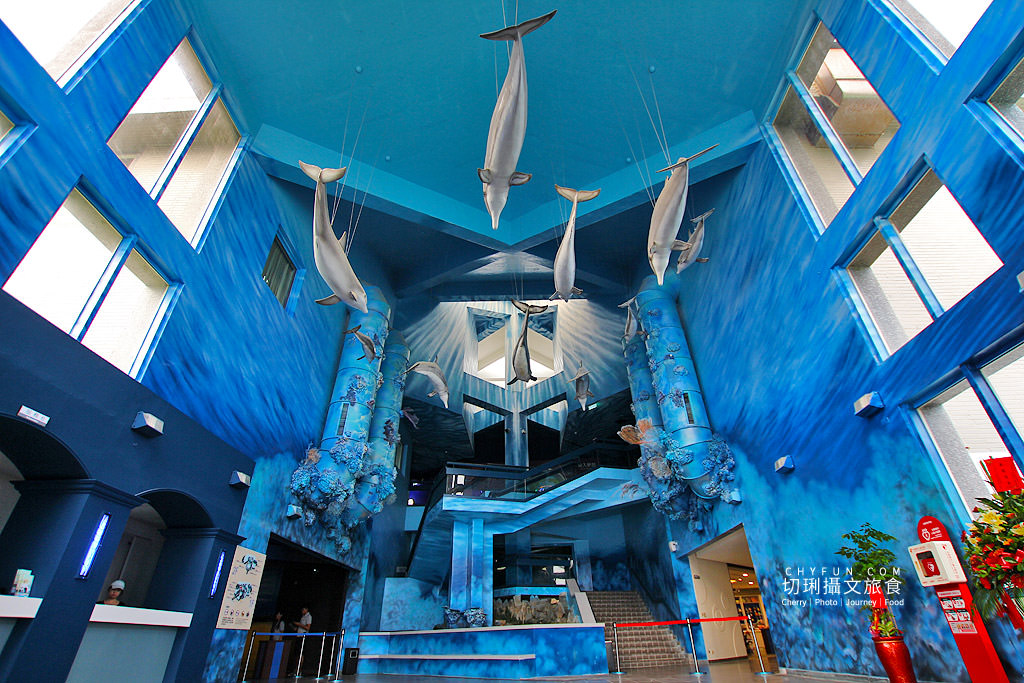 20180822221143_85 澎湖｜澎湖水族館重新開幕，美麗藍色海洋世界再現