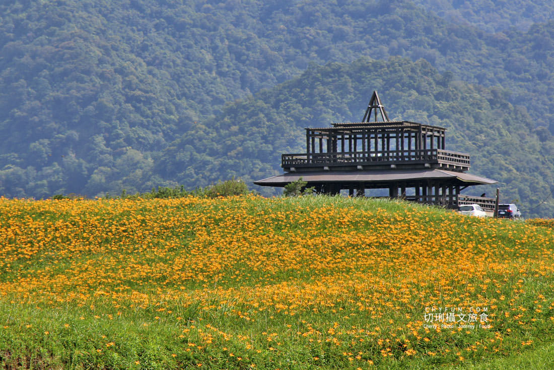 花蓮｜2021金針花季六十石山、赤柯山黃金花毯線上賞齊登場，彙整交通／時間／景點／住宿相關資訊