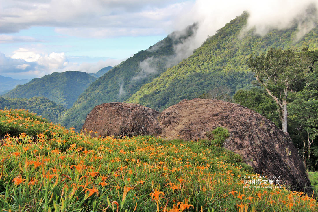 花蓮｜2021金針花季六十石山、赤柯山黃金花毯線上賞齊登場，彙整交通／時間／景點／住宿相關資訊