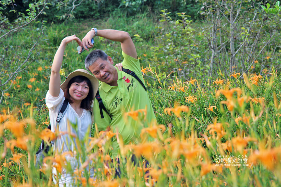 花蓮｜2021金針花季六十石山、赤柯山黃金花毯線上賞齊登場，彙整交通／時間／景點／住宿相關資訊
