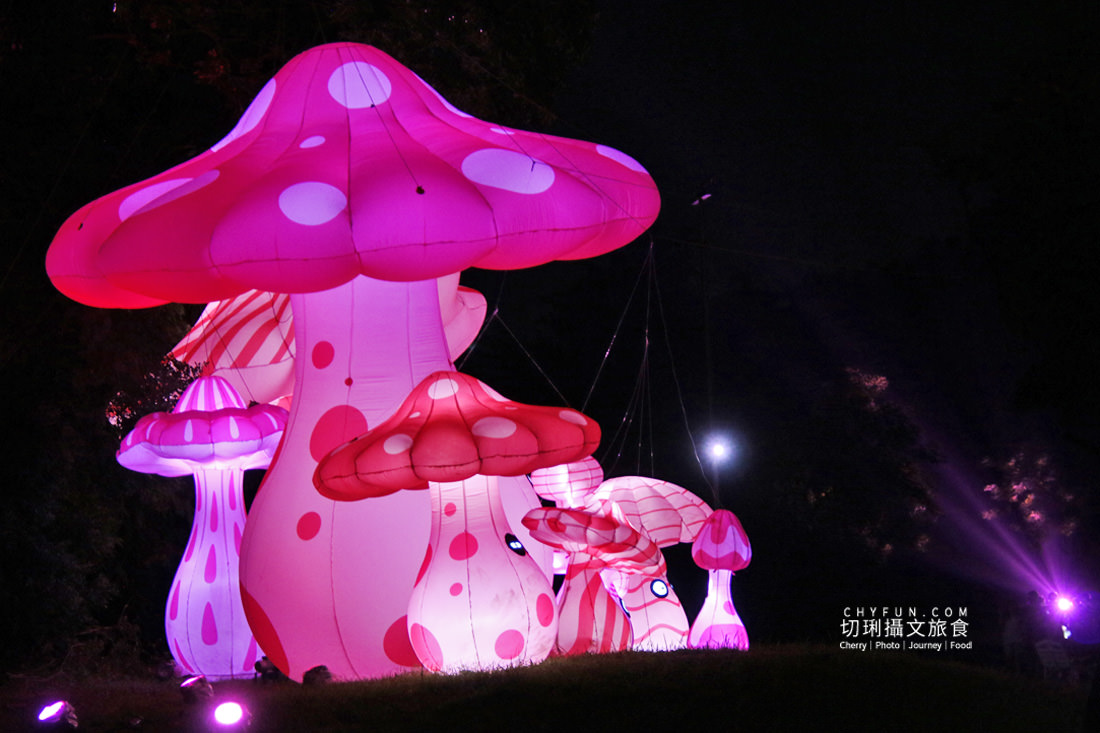 嘉義|光織影舞2023有夠粉紅,八主題與粉紅市集同樂 - 第10張圖 嘉義|光織影舞2023有夠粉紅,八主題與粉紅市集同樂