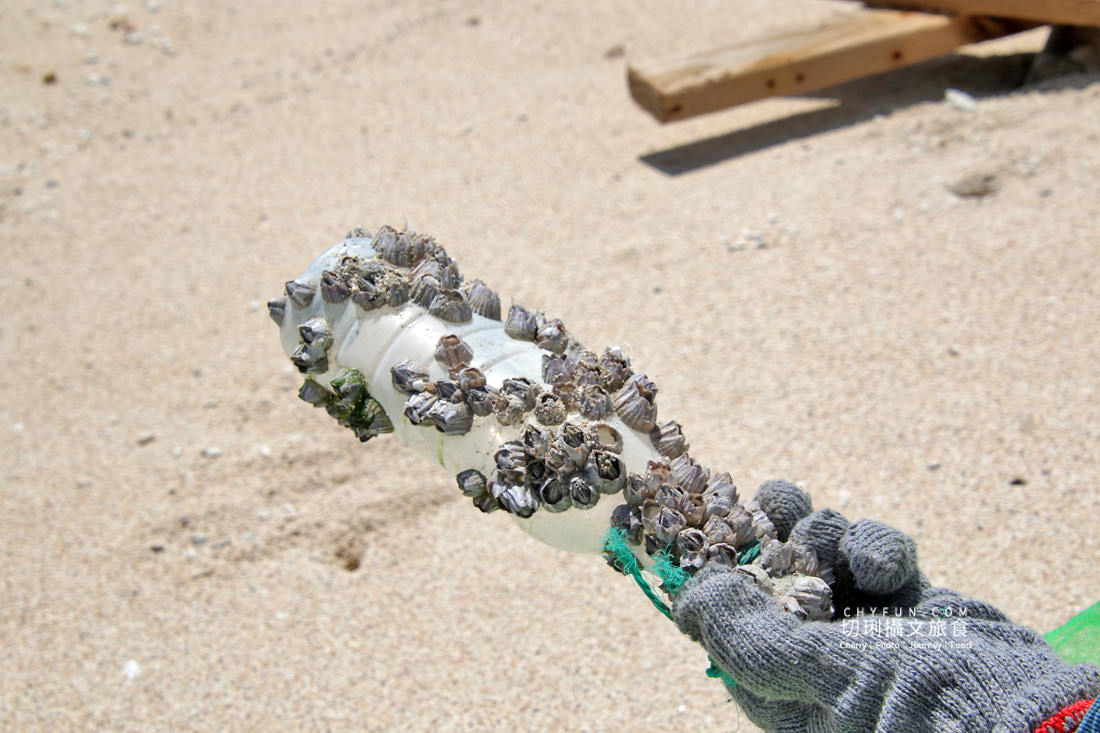 澎湖|世界海洋日來去吉貝白色淨灘,午後夢幻目斗嶼無痕餐食 - 第12張圖 澎湖|世界海洋日來去吉貝白色淨灘,午後夢幻目斗嶼無痕餐食