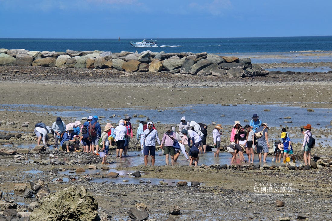 澎湖|東海一日遊員貝耍廢島樂營,潮間帶賞鷗不玩水知性Chill漫遊 - 第39張圖 澎湖|東海一日遊員貝耍廢島樂營,潮間帶賞鷗不玩水知性Chill漫遊