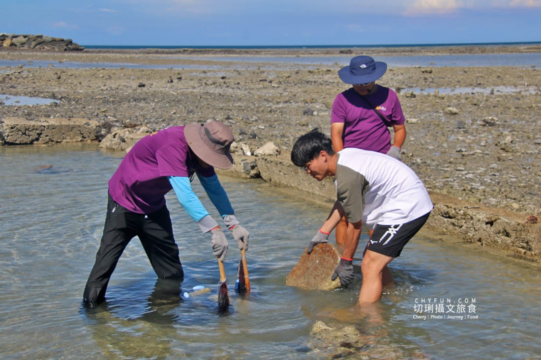 澎湖|東海一日遊員貝耍廢島樂營,潮間帶賞鷗不玩水知性Chill漫遊 - 第40張圖 澎湖|東海一日遊員貝耍廢島樂營,潮間帶賞鷗不玩水知性Chill漫遊