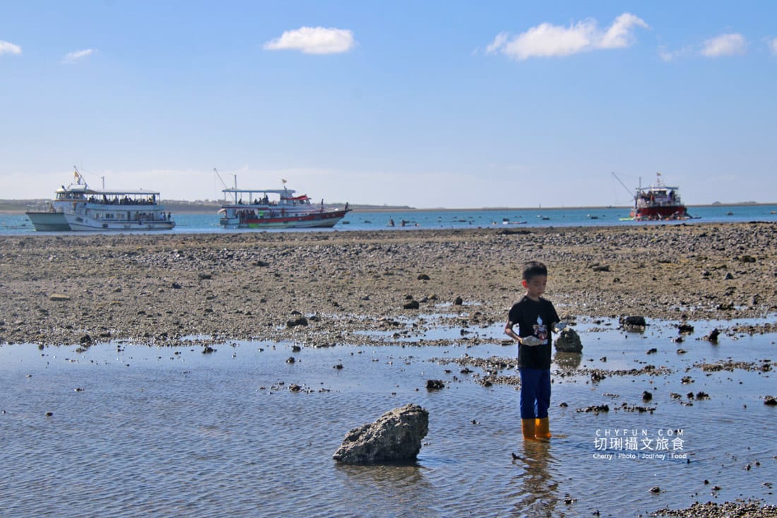 澎湖|東海一日遊員貝耍廢島樂營,潮間帶賞鷗不玩水知性Chill漫遊 - 第53張圖