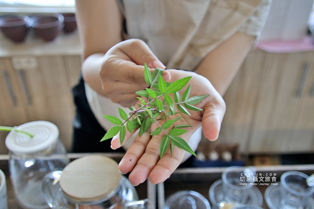 嘉義|阿里山下的天然莊園食農體驗,沉浸香草植染與茶的薰陶 - 第17張圖 嘉義|阿里山下的天然莊園食農體驗,沉浸香草植染與茶的薰陶
