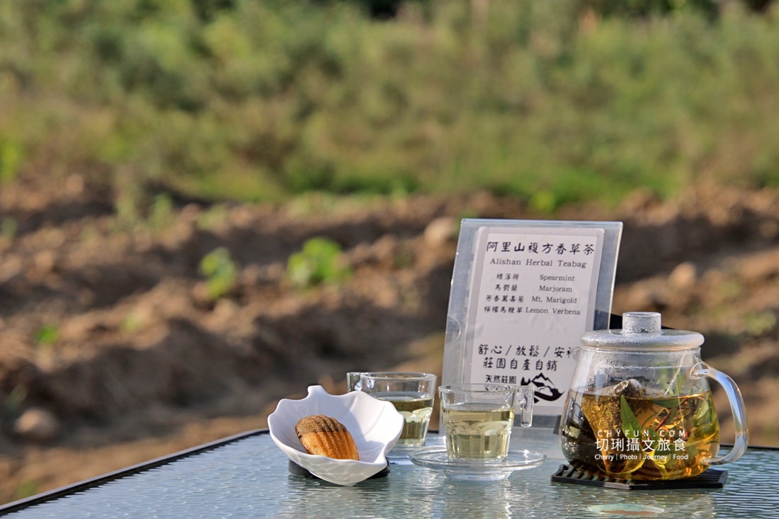 嘉義|阿里山下的天然莊園食農體驗,沉浸香草植染與茶的薰陶 - 第30張圖 嘉義|阿里山下的天然莊園食農體驗,沉浸香草植染與茶的薰陶