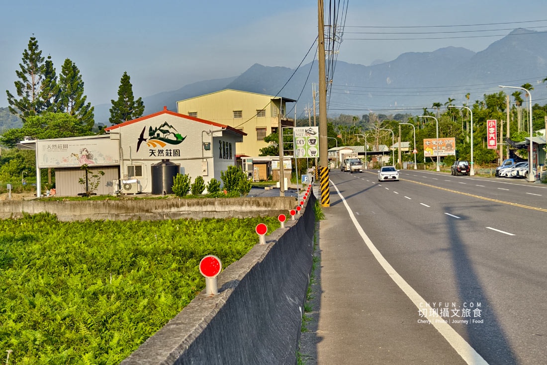 嘉義|阿里山下的天然莊園食農體驗,沉浸香草植染與茶的薰陶 - 第31張圖 嘉義|阿里山下的天然莊園食農體驗,沉浸香草植染與茶的薰陶