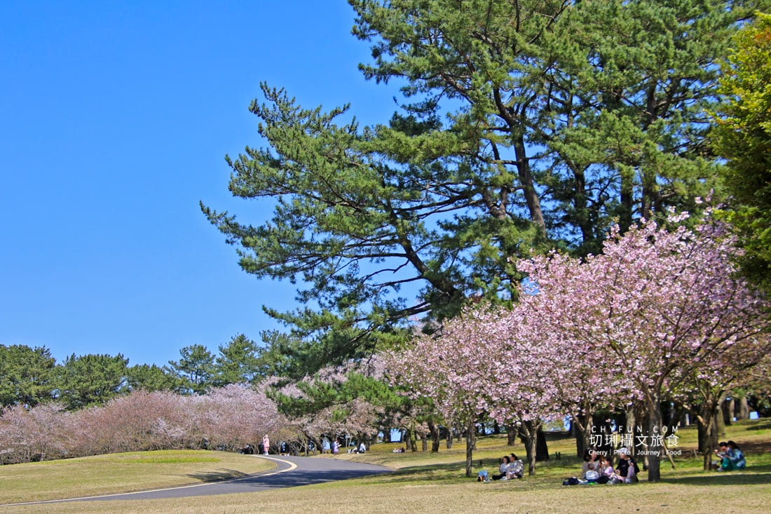 麗星郵輪探索星號六天五夜遊日本賞櫻花，郵輪旅遊完整全記錄