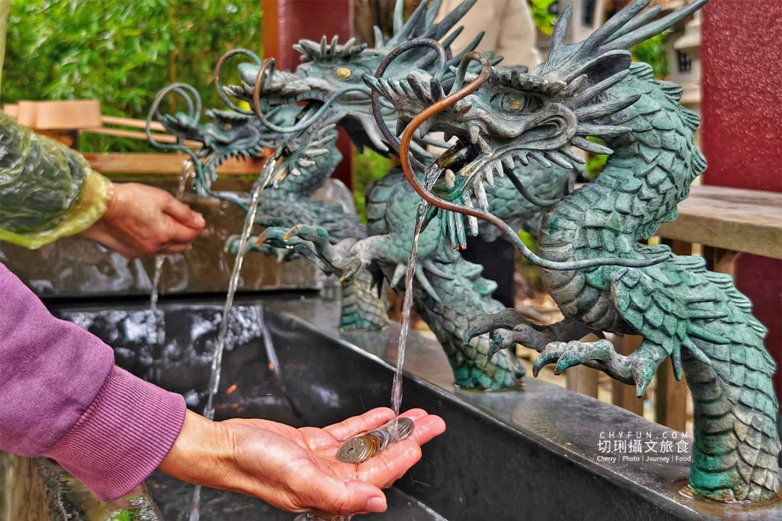 麗星郵輪探索星號六天五夜遊日本賞櫻花，郵輪旅遊完整全記錄