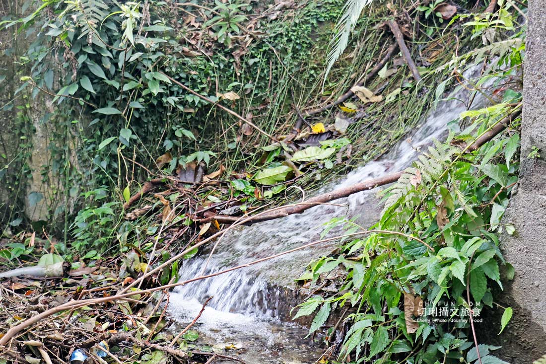 丹大布農智慧與邵族記憶的生活脈絡，從山林到湖畔日月潭最美的文化巡禮