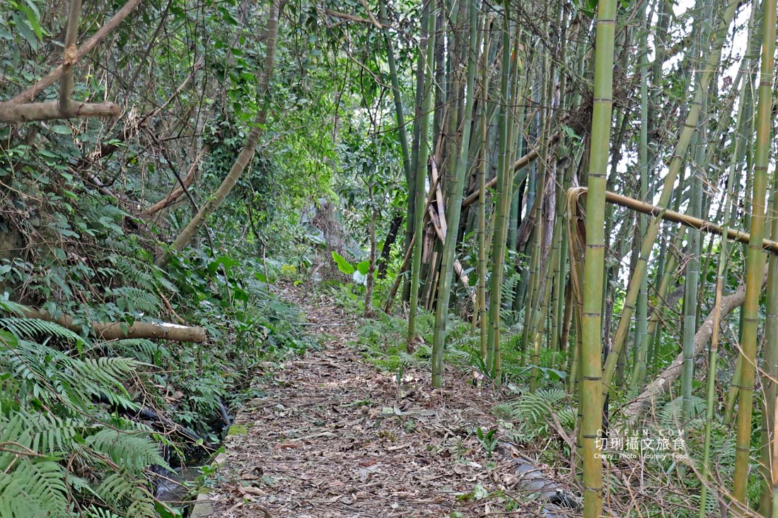 丹大布農智慧與邵族記憶的生活脈絡，從山林到湖畔日月潭最美的文化巡禮
