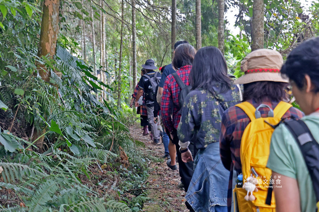 丹大布農智慧與邵族記憶的生活脈絡，從山林到湖畔日月潭最美的文化巡禮