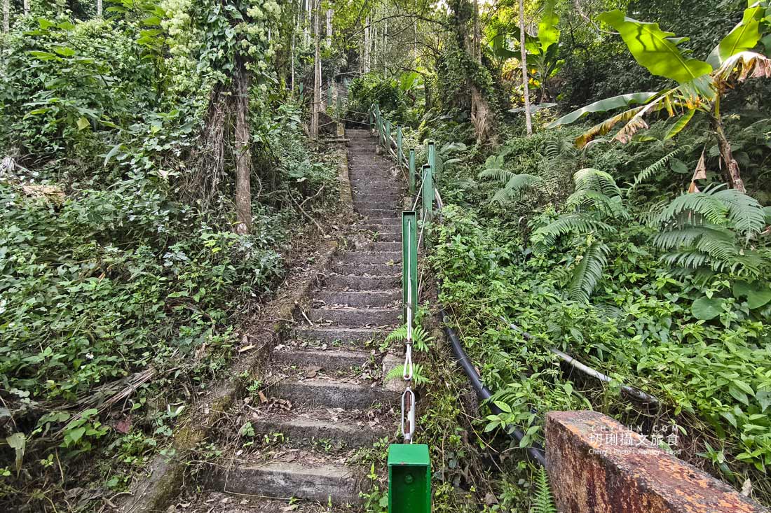丹大布農智慧與邵族記憶的生活脈絡，從山林到湖畔日月潭最美的文化巡禮