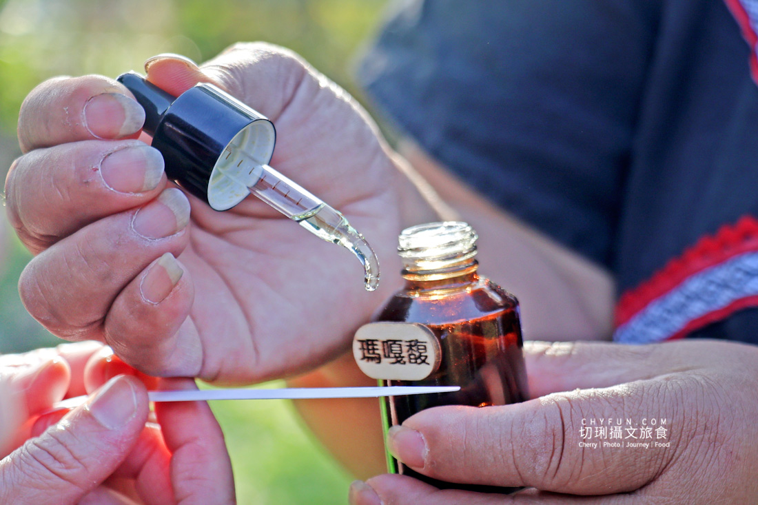 丹大布農智慧與邵族記憶的生活脈絡，從山林到湖畔日月潭最美的文化巡禮