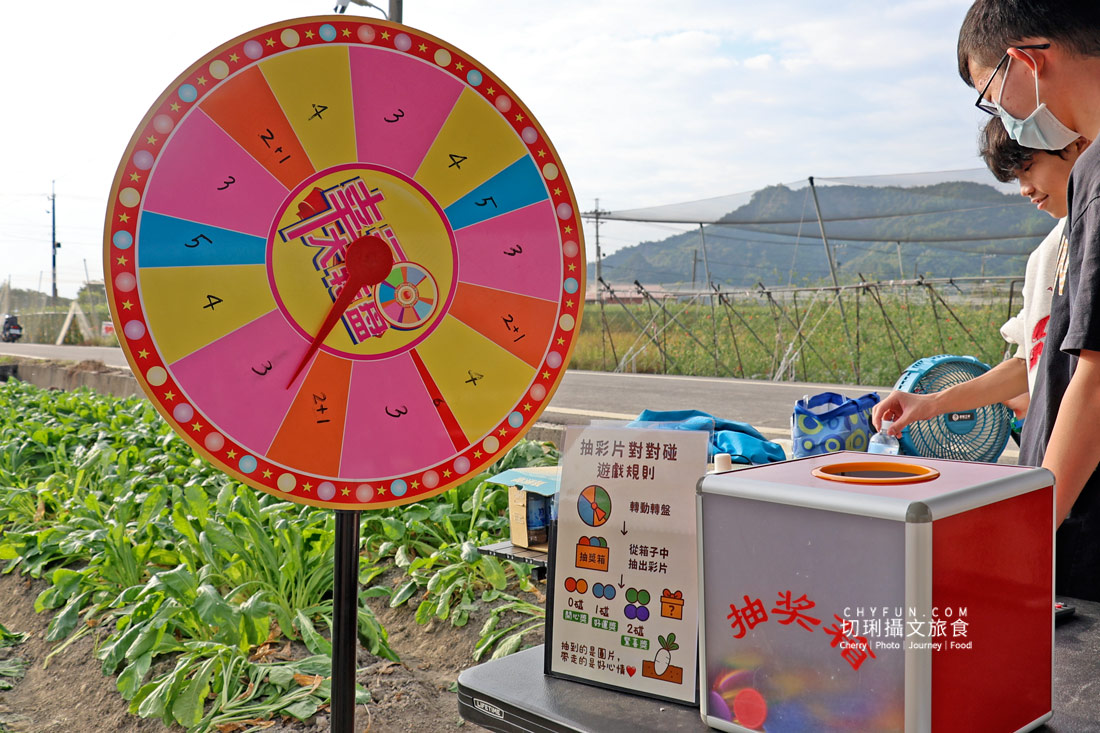 美濃拔蘿蔔一日遊,走進田野體驗最甜的白玉蘿蔔採收季 - 第5張圖 美濃拔蘿蔔一日遊,走進田野體驗最甜的白玉蘿蔔採收季