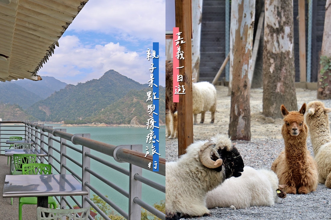 嘉義親子景點與山線療癒旅行,咩咩上樹萌寵樂園 × 曾文水庫一日遊 - 第1張圖 嘉義親子景點與山線療癒旅行,咩咩上樹萌寵樂園 × 曾文水庫一日遊