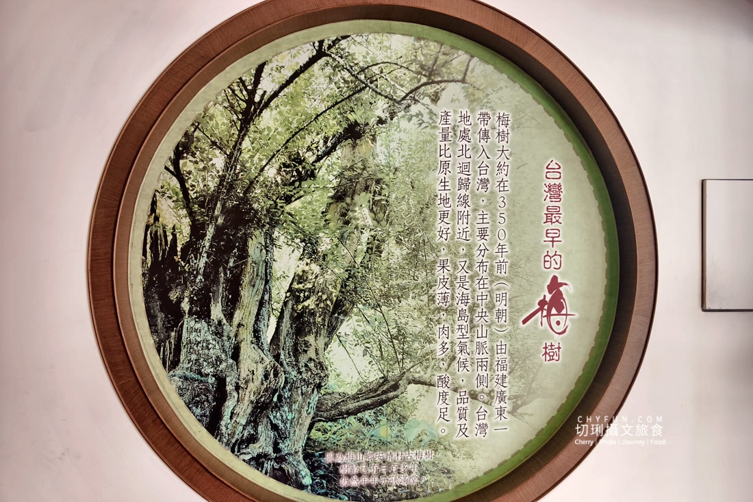 走進梅問屋梅子元氣館，一顆梅子的四季故事，收藏山城的酸甜記憶