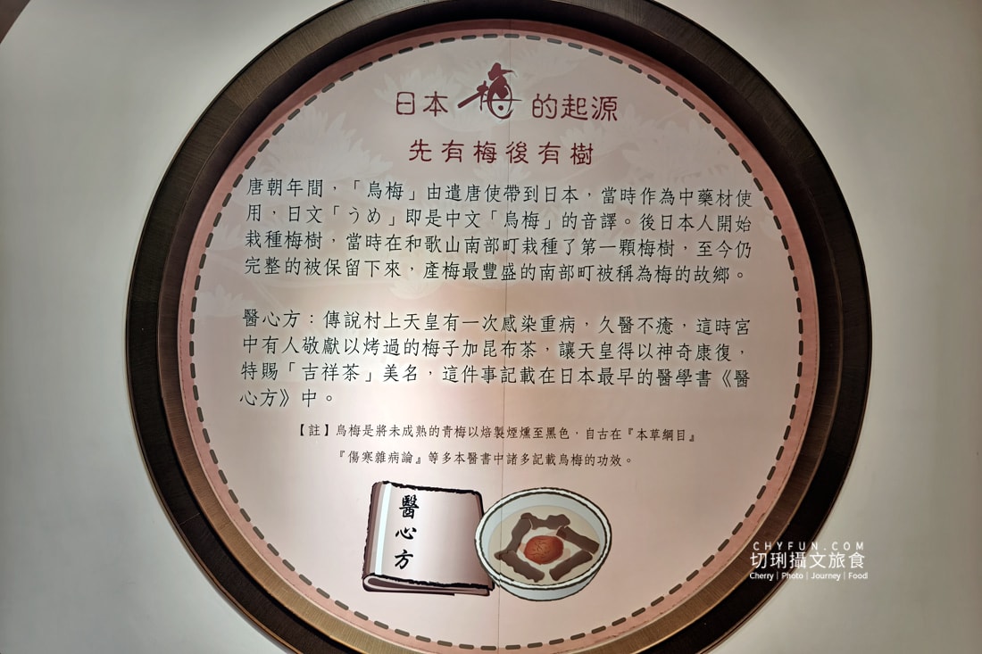 走進梅問屋梅子元氣館，一顆梅子的四季故事，收藏山城的酸甜記憶