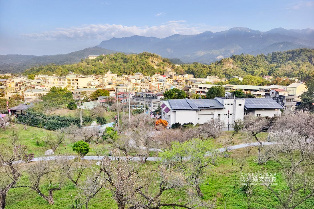 走進梅問屋梅子元氣館，一顆梅子的四季故事，收藏山城的酸甜記憶