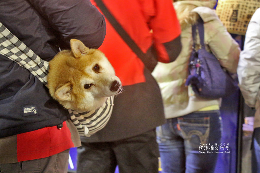 嘉義｜巧克熊環島餐車流浪去哪，巧克力美食飲品漂鳥實踐夢想計畫